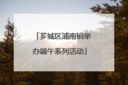 芗城区浦南镇举办端午系列活动