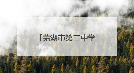 芜湖市第二中学啦啦队在全国啦啦操锦标赛（中大组）中勇夺三金