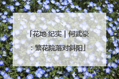 花地·纪实｜何武豪：繁花院落对斜阳