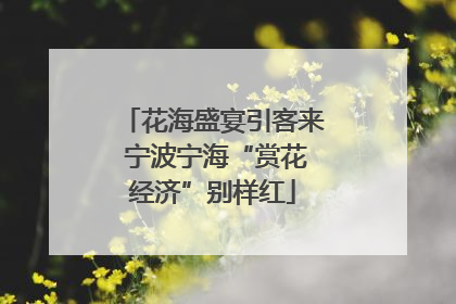 花海盛宴引客来 宁波宁海“赏花经济”别样红