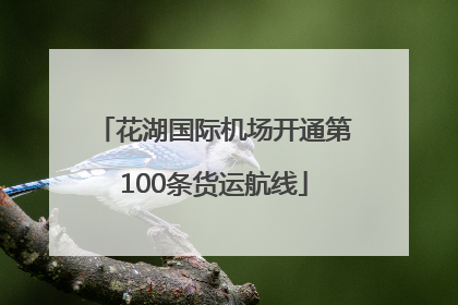 花湖国际机场开通第100条货运航线