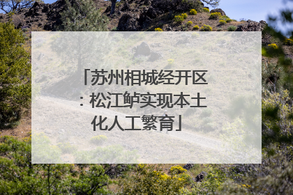 苏州相城经开区：松江鲈实现本土化人工繁育