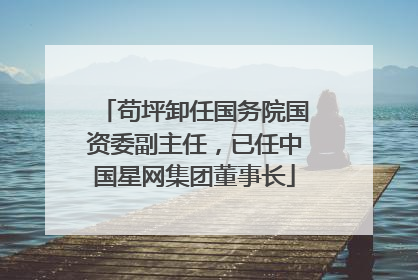 苟坪卸任国务院国资委副主任，已任中国星网集团董事长