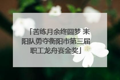 苦练月余终圆梦 耒阳队勇夺衡阳市第三届职工龙舟赛金奖
