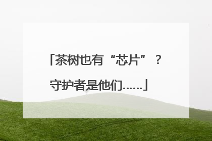 茶树也有“芯片”？守护者是他们……