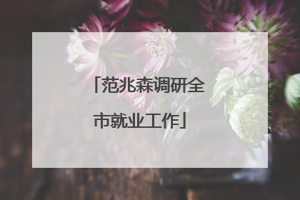 范兆森调研全市就业工作