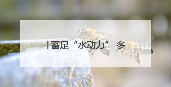 蓄足“水动力” 多地抗旱保粮一线观察