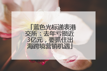 蓝色光标递表港交所：去年亏损近3亿元，要抓住出海跨境营销机遇