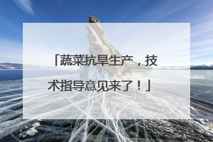 蔬菜抗旱生产，技术指导意见来了！