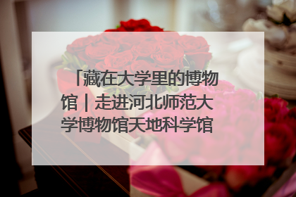 藏在大学里的博物馆｜走进河北师范大学博物馆天地科学馆：在校园里赴一场“宇宙之约”