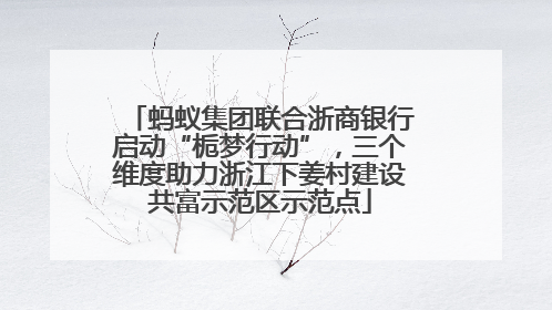 蚂蚁集团联合浙商银行启动“栀梦行动”，三个维度助力浙江下姜村建设共富示范区示范点