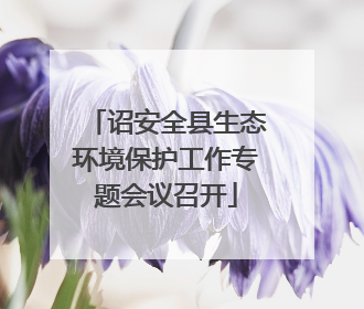 诏安全县生态环境保护工作专题会议召开