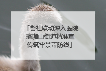 警社联动深入医院 珞珈山街道精准宣传筑牢禁毒防线