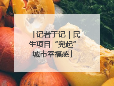 记者手记｜民生项目“兜起”城市幸福感