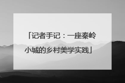 记者手记：一座秦岭小城的乡村美学实践