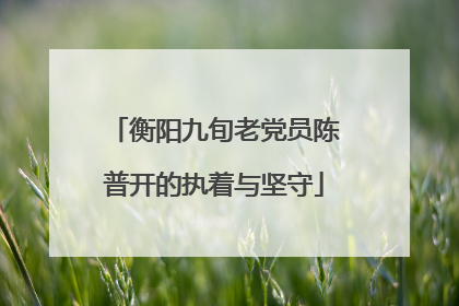 衡阳九旬老党员陈普开的执着与坚守