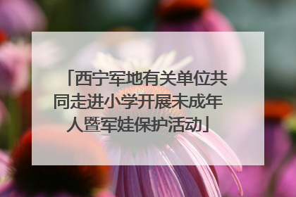 西宁军地有关单位共同走进小学开展未成年人暨军娃保护活动