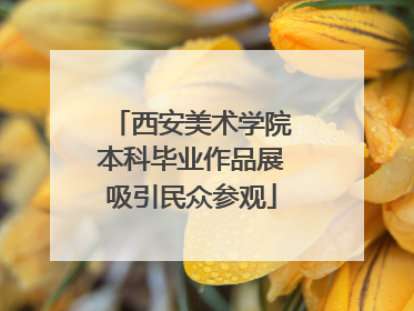 西安美术学院本科毕业作品展吸引民众参观