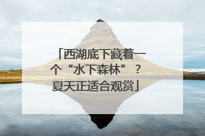 西湖底下藏着一个“水下森林”？夏天正适合观赏