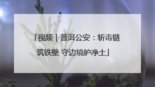 视频｜普洱公安：斩毒链筑铁壁 守边境护净土