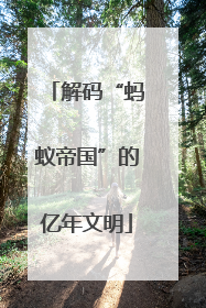 解码“蚂蚁帝国”的亿年文明