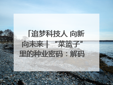 追梦科技人 向新向未来｜“菜篮子”里的种业密码：解码南京蔬菜分子育种的创新之路