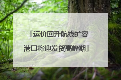 运价回升航线扩容 港口将迎发货高峰期