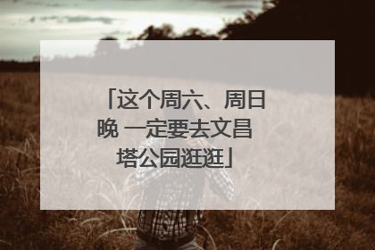 这个周六、周日晚 一定要去文昌塔公园逛逛