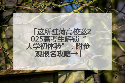 这所驻菏高校邀2025高考生解锁“大学初体验”，附参观报名攻略→