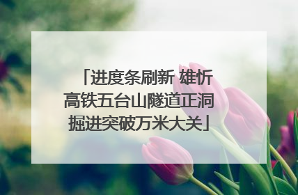 进度条刷新 雄忻高铁五台山隧道正洞掘进突破万米大关
