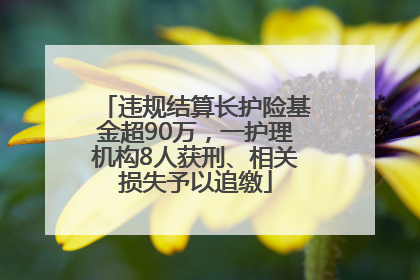 违规结算长护险基金超90万，一护理机构8人获刑、相关损失予以追缴