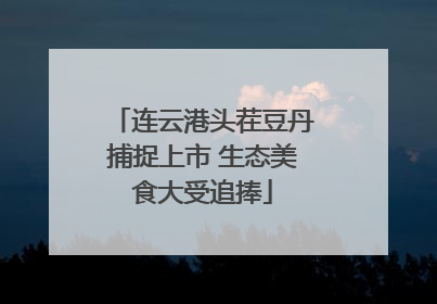 连云港头茬豆丹捕捉上市 生态美食大受追捧