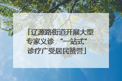 辽源路街道开展大型专家义诊 “一站式”诊疗广受居民赞誉