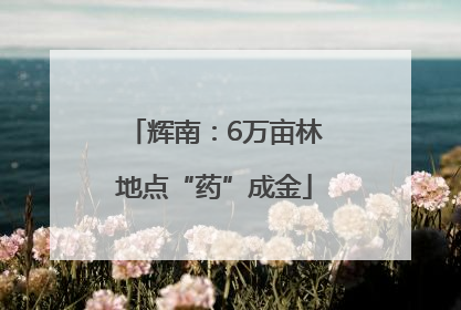 辉南：6万亩林地点“药”成金
