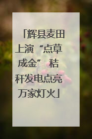 辉县麦田上演“点草成金” 秸秆发电点亮万家灯火