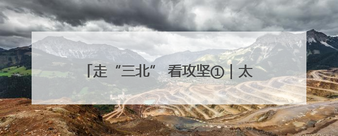 走“三北” 看攻坚①｜太行披“绿装” 连翘药茶香