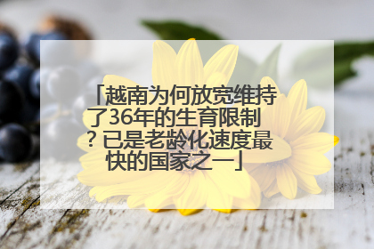 越南为何放宽维持了36年的生育限制？已是老龄化速度最快的国家之一