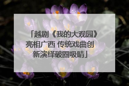 越剧《我的大观园》亮相广西 传统戏曲创新演绎破圈吸睛