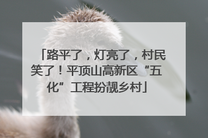路平了，灯亮了，村民笑了！平顶山高新区“五化”工程扮靓乡村
