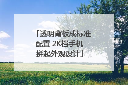 透明背板成标准配置 2K档手机拼起外观设计