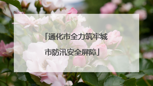 通化市全力筑牢城市防汛安全屏障