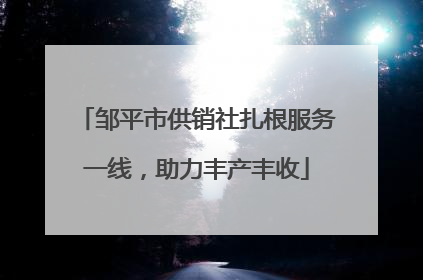 邹平市供销社扎根服务一线，助力丰产丰收