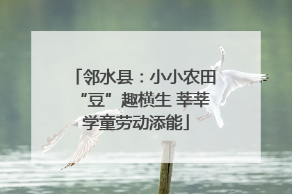邻水县：小小农田“豆”趣横生 莘莘学童劳动添能