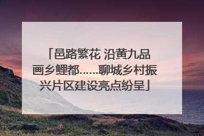 邑路繁花 沿黄九品 画乡鲤都……聊城乡村振兴片区建设亮点纷呈