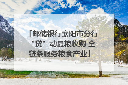 邮储银行襄阳市分行“贷”动夏粮收购 全链条服务粮食产业