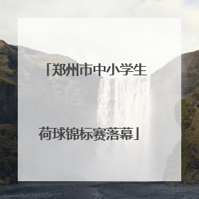 郑州市中小学生荷球锦标赛落幕