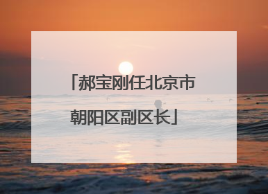 郝宝刚任北京市朝阳区副区长