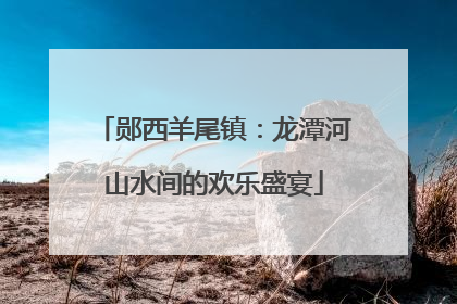 郧西羊尾镇：龙潭河山水间的欢乐盛宴