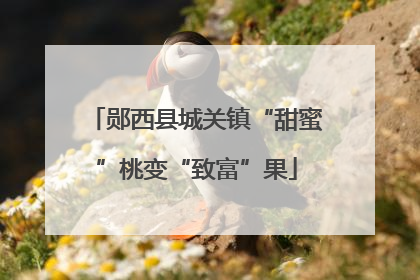 郧西县城关镇“甜蜜”桃变“致富”果
