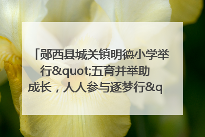 郧西县城关镇明德小学举行"五育并举助成长，人人参与逐梦行"庆六一活动